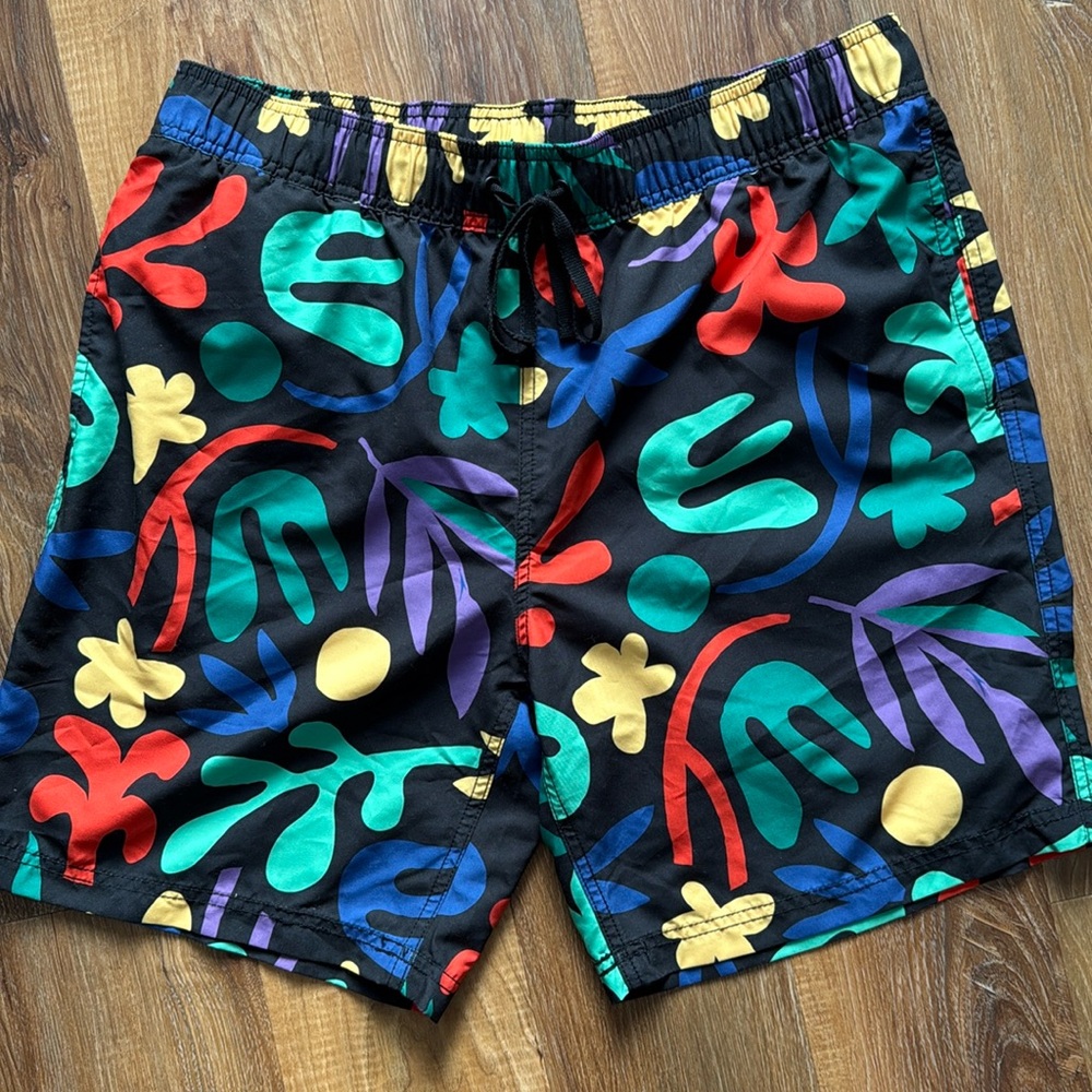 Hanna Andersson Men’s Large Swimming Shorts